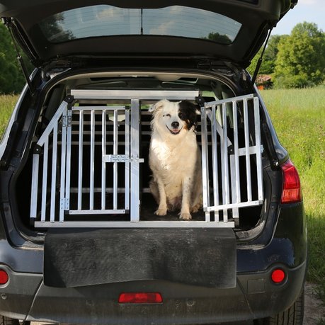 What are the rules for driving with dogs in cars?