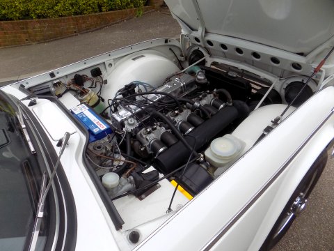 Triumph TR5 Sports 74