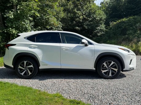 Lexus NX 2.5 NX 300h Takumi CVT 4WD 5dr