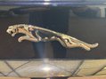 Jaguar XF 2.2d Luxury Auto Euro 5 (s/s) 4dr 42