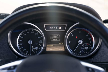 Mercedes-Benz G Series G350 BLUETEC 21