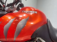 Triumph Tiger 2004 ADVENTURE BIKE PROJECT 955CC SPARES OR REPAIR 13