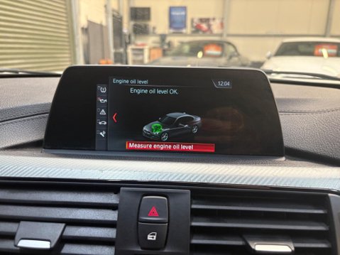 BMW 3 Series 2.0 320i M Sport Shadow Edition Auto Euro 6 (s/s) 4dr 29