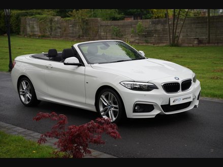 2015 2 SERIES 1.5 218I M SPORT EURO 6 S S 2DR YEAR 2015 65... photo