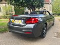 BMW 2 Series 218I M SPORT 14