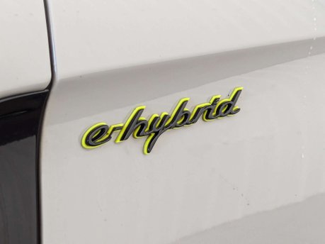 Porsche Panamera 2.9 Panamera 4 E-Hybrid Semi-Auto 4WD 5dr 29
