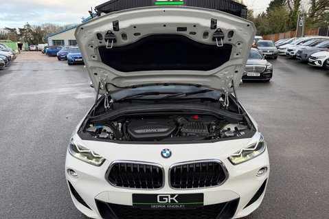 BMW X2 XDRIVE20D M SPORT - PAN ROOF - 20 INCH ALLOYS - M PLUS PACK 66