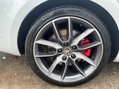 Skoda Octavia 2.0 Octavia vRS 245 TSi 5dr 51