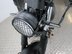 Mutt Mongrel 125 Pre-registered 17