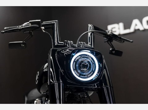 Harley-Davidson Terminator REV-9 35