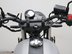 Mutt Akita 125 Pre-registered 28