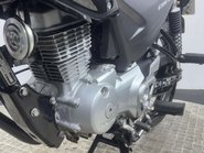 Honda CBF125 CBF125 2012 ONLY 5K MOT SERVICED ICONIC LEARNER BIKE 125CC 17