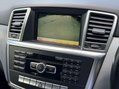 Mercedes-Benz M Class 2.1 ML250 Special Edition Bluetec Auto 4WD 5dr 30
