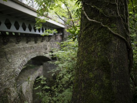 What's in a name? Pont