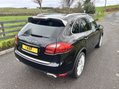 Porsche Cayenne PLATINUM EDITION D V6 TIPTRONIC 14