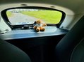 Smart Fortwo Coupe PASSION 42