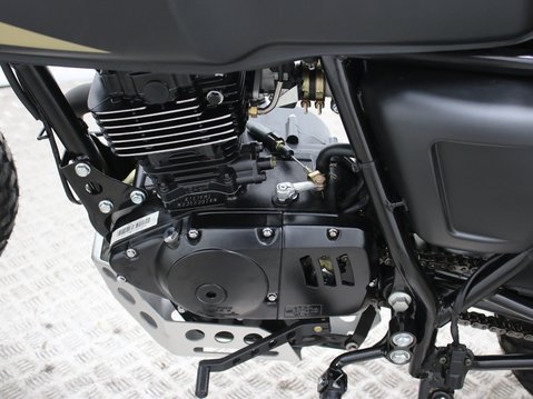 Mutt Akita 125 Pre-registered 19