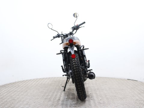 Mutt Akita 125 Pre-registered 5