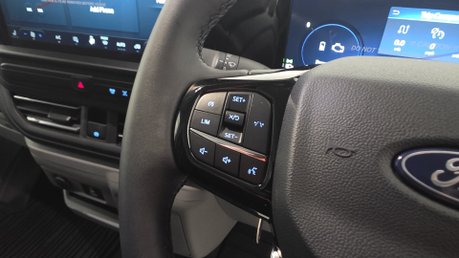 Ford Transit Custom 320L1 H1 PHEV LIMITED VAN ECOBLUE HYBRID 130PS 10
