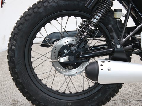 Mutt Akita 125 Pre-registered 22
