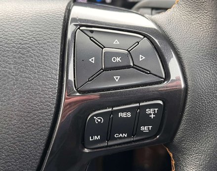 Ford Ranger 2.0 Ranger Wildtrak EcoBlue 4x4 Auto 4WD 59