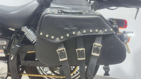 Yamaha XVS DRAGSTAR 250 2003 12K VERY CLEAN LIGHTWEIGHT CRUISER BIKE 250CC 41