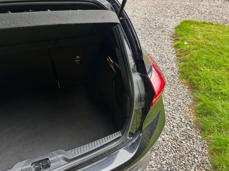 Ford Focus 1.5 Focus ST-Line EcoBlue Auto 5dr 49