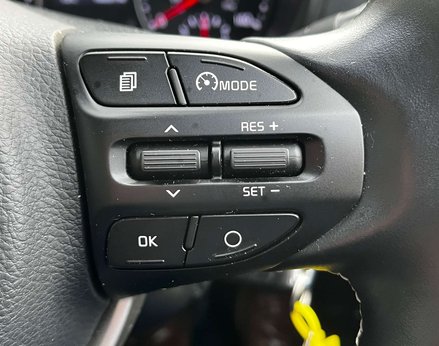 Kia Picanto 1.2 Picanto 3 Auto 5dr 39