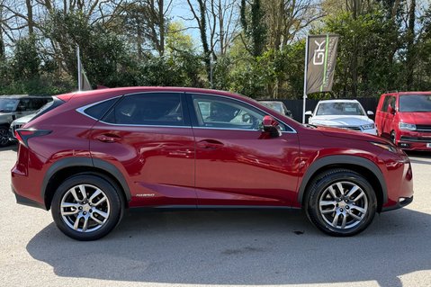 Lexus NX 300H LUXURY - PANORAMIC ROOF -2 OWNERS - 7 LEXUS SERVICES 6