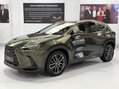 Lexus NX 350H TAKUMI 1