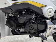 Honda MSX125 2015 ONLY 8K VERY CLEAN MINI MONKEY BIKE 125CC 24