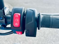 Triumph Speed Twin Speed Twin 900 14