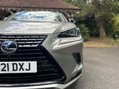 Lexus NX 300H 46