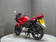 Honda CBF125 CBF 125 2010 21K PROJECT COMMUTER BIKE 125CC LEARNER 5