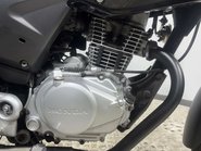 Honda CBF125 CBF125 2012 ONLY 5K MOT SERVICED ICONIC LEARNER BIKE 125CC 37