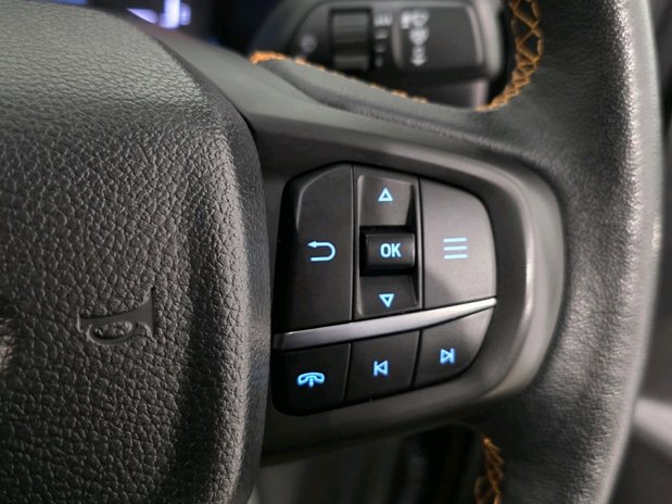 Ford Ranger WILDTRAK ECOBLUE 23