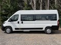 Peugeot Boxer BLUEHDI 335 L3H2 15 Seat NON-D1 minibus with AC, Sensors, Cruise. ULEZ 11