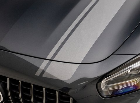 Mercedes-Benz AMG GT R GT R Pro 25