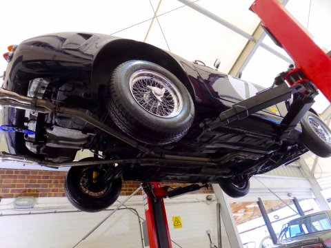 Tribute 250 SWB GT BERLINETTA REPLICA 38