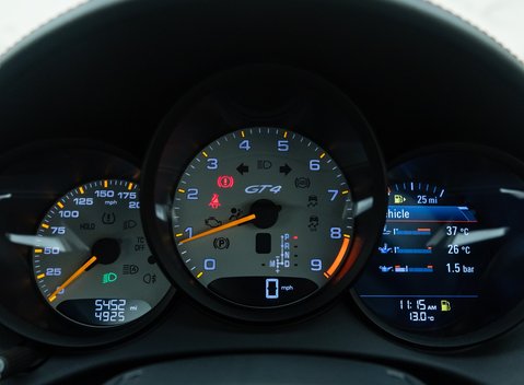 Porsche Cayman GT4 (718) 18