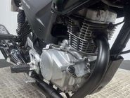 Honda CBF125 CBF125 2012 ONLY 5K MOT SERVICED ICONIC LEARNER BIKE 125CC 32