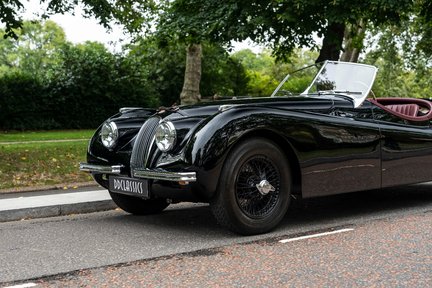 Jaguar XK 120 OTS 8