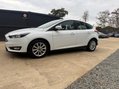 Ford Focus 1.0T EcoBoost Titanium Hatchback 5dr Petrol Manual Euro 6 (s/s) (125 ps) 19