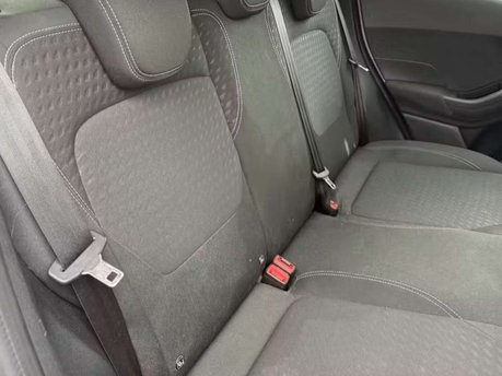 Ford Fiesta 1.0T EcoBoost GPF Zetec Hatchback 5dr Petrol Auto Euro 6 (s/s) (100 ps) 24