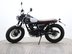 Mutt Mastiff 125 Pre-registered 7