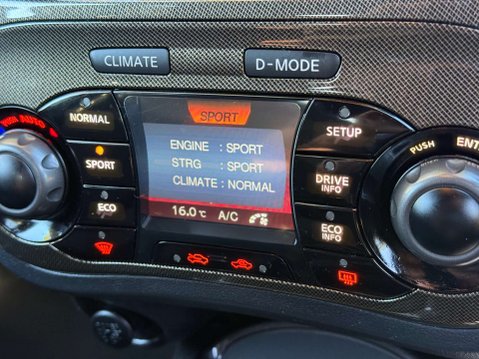 Nissan Juke 1.6 Juke Nismo RS DiG-T 5dr 53