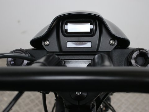 Harley-Davidson Softail SOFTAIL FXDR 114 19 16