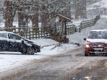 Autumn Equinox & Winter Prep – Are You Ready, Llanelli?