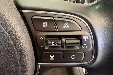 Kia Niro 64kWh 4 SUV 5dr Electric Auto (201 bhp) 52