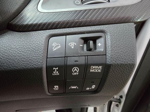 Hyundai SANTA FE 2.2 CRDi Blue Drive Premium SE Auto 4WD Euro 6 (s/s) 5dr (7 Seat) 47